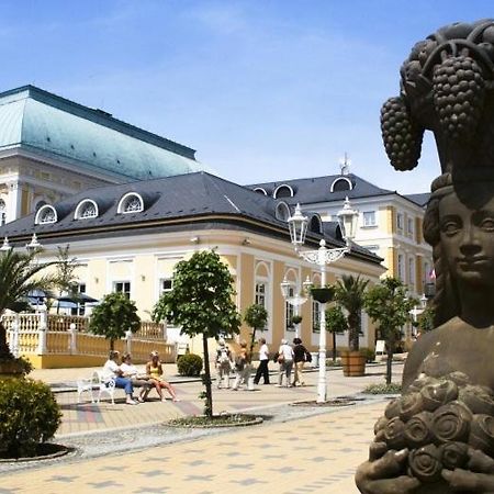 Penzion U Modreho Slona Františkovy Lázně Zewnętrze zdjęcie